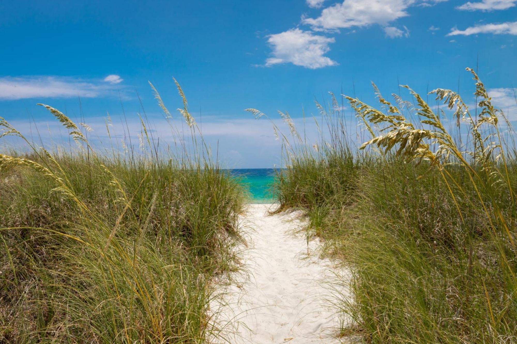 Remarkably Updated 3/2 In Seagrove Highlands - Gulf Views Sleeps 9! Santa Rosa Beach Eksteriør billede